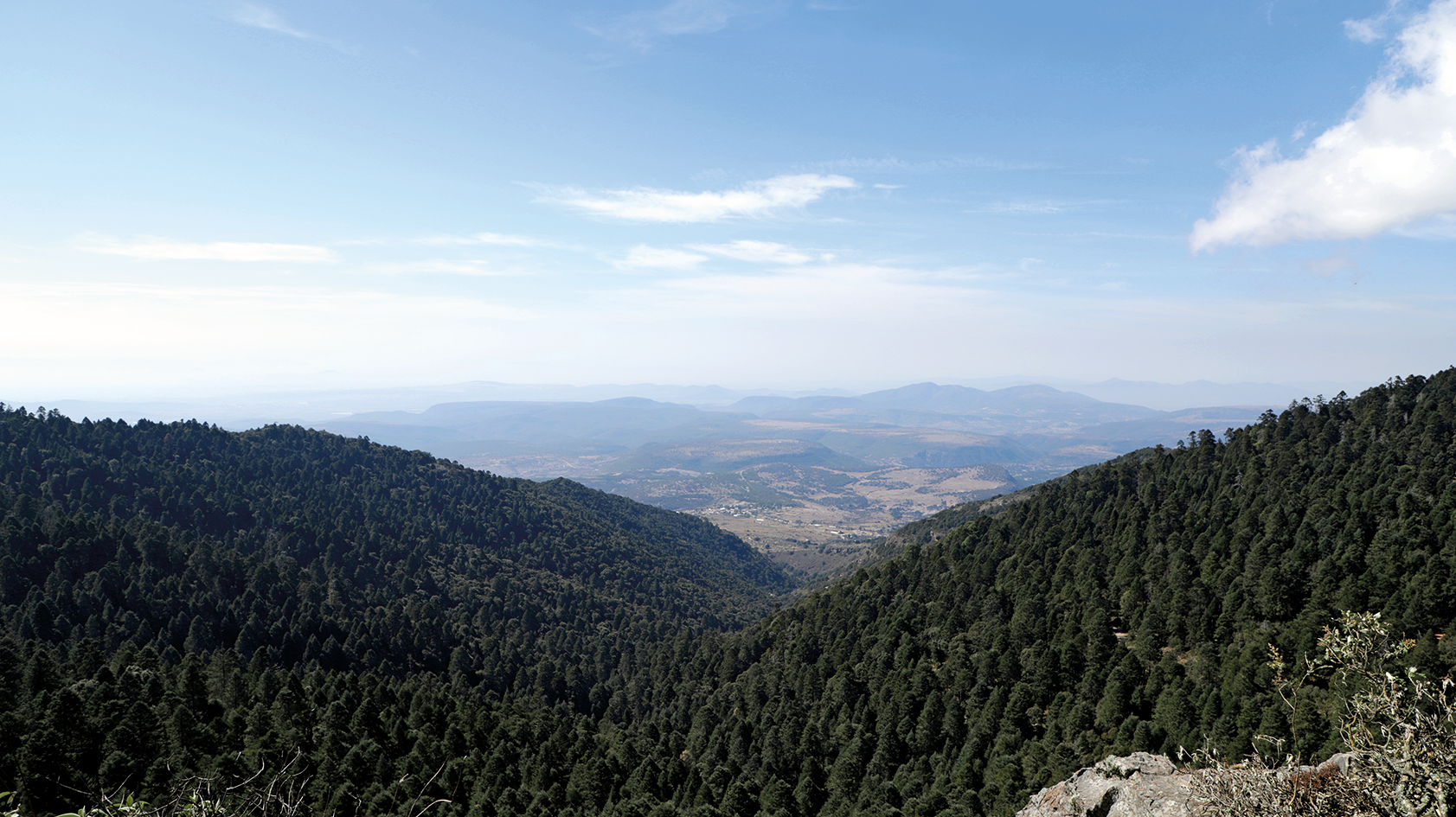 SENDERISMO AL CERRO EL ZAMORANO